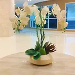Sea Residences Near Smx, Airport - Look For Mav
